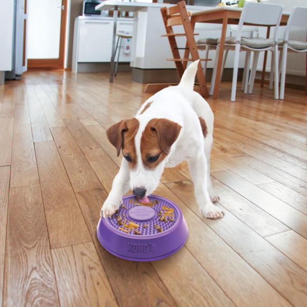 DELUXE PET DINER 2X 200ml - PAWISE - Imagem 4
