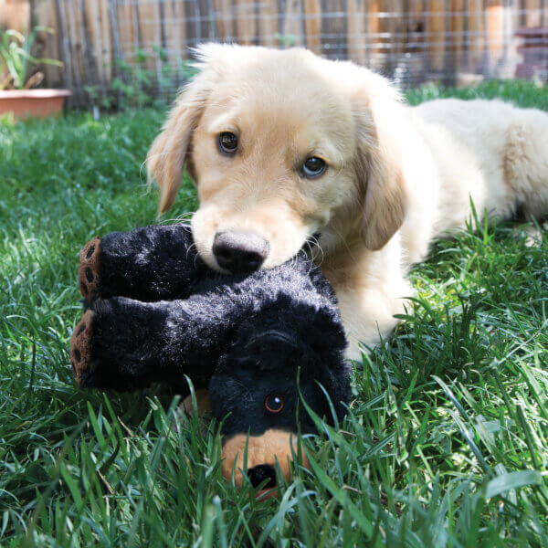 Brinquedo Kong para Cães KONG CONFOR KIDDOS URSO G - Imagem 3