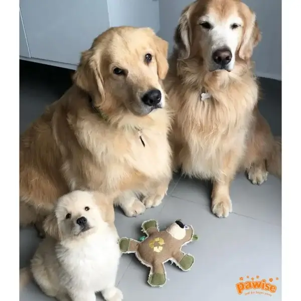 Brinquedo Urso Lona - PAWESI Real Tuff - Imagem 2