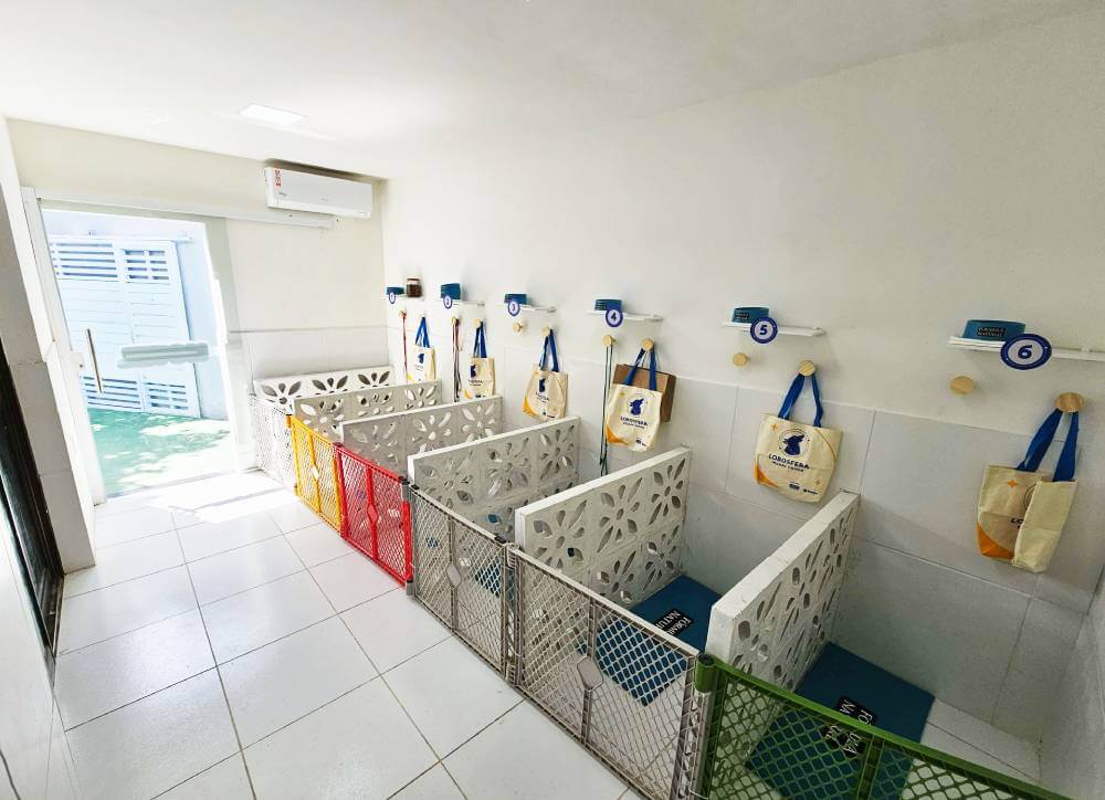 Baias individuais climatizadas para cães idosos ou novatos