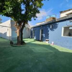 Pátio com sombra e árvores para descanso dos cães na Lobosfera