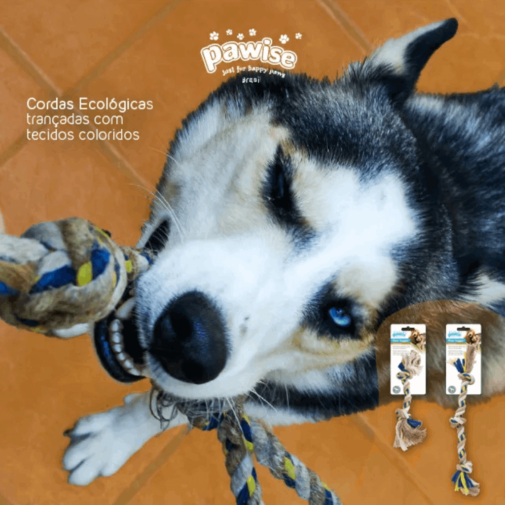 Brinquedo de corda para cães - Bola - Imagem 3