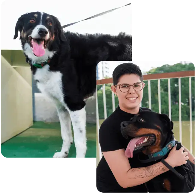 Cris Adestra - Responsável pela Lobosfera - Escola de Comportamento Canino